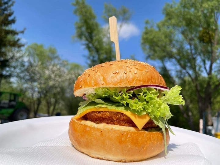 RS burger + hranolky